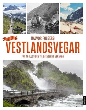 Omslag: "Fleire vestlandsvegar : frå Trollstigen til Djevelens veranda" av Halvor Folgerø